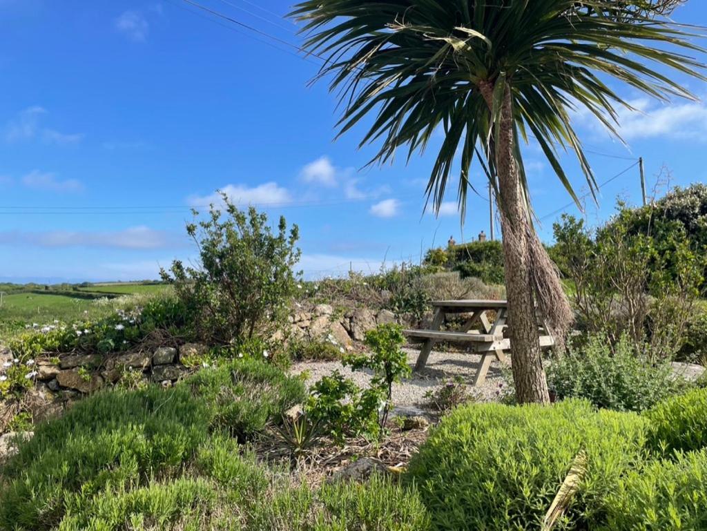 Trengothal Barn Apartment Porthcurno Exterior photo