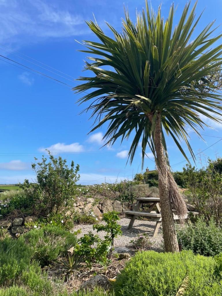 Trengothal Barn Apartment Porthcurno Exterior photo